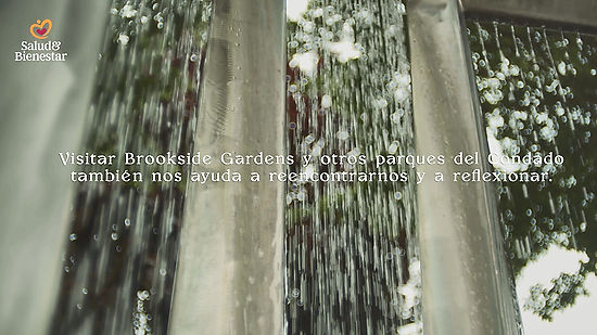 Brookside Gardens - Montgomery Parks